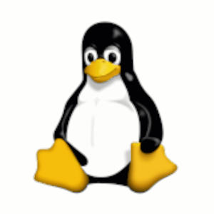 Linux Kernel Logo